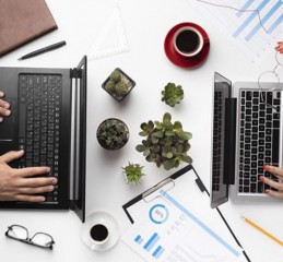 税务稽查强制令，维护税收法治的利器