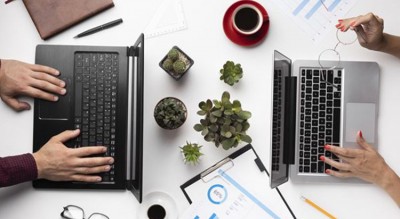 税务稽查强制令，维护税收法治的利器